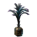 大型宽叶卷心菜栽培盆