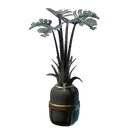 小型尖刺珍珠栽培盆