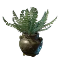蕨叶