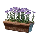 粉色鲜花