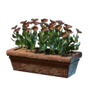 红色鲜花