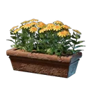 黄色鲜花