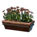 红色壁花