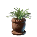 青草