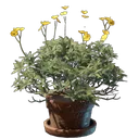 碎丛