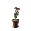 红色鲜花
