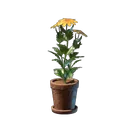 黄色鲜花