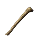 骨头