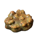 瘴气蘑菇
