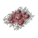 腐蚀之血