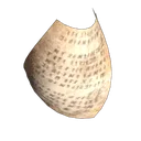 纸