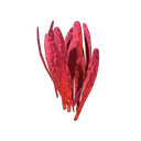 藏红花